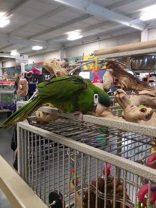 Winchester Aquarium & Pet Center Picture 9