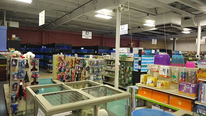 Winchester Aquarium & Pet Center Picture 4