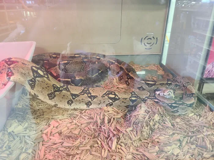 Winchester Aquarium & Pet Center Picture 6