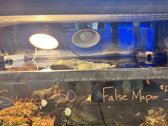 Winchester Aquarium & Pet Center Picture 7
