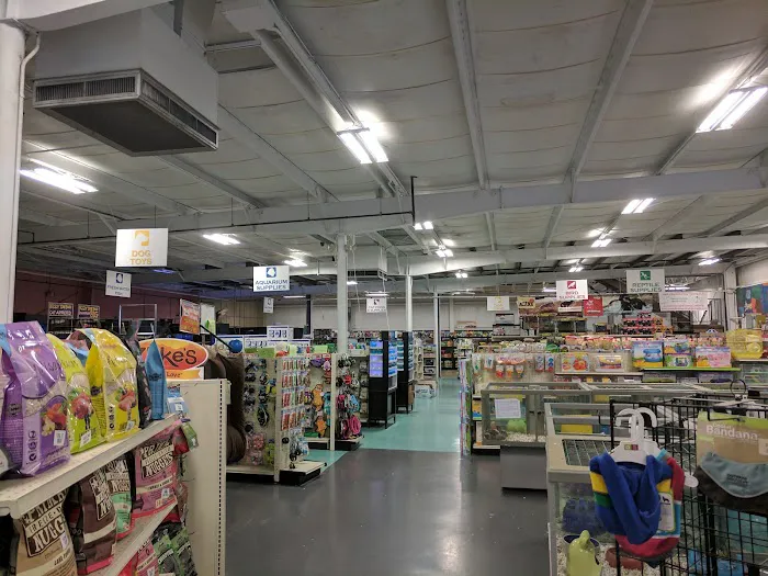 Winchester Aquarium & Pet Center Picture 5
