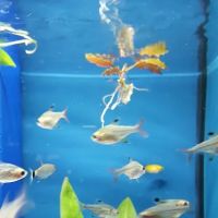Winchester Aquarium & Pet Center ico