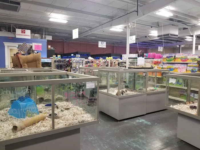 Winchester Aquarium & Pet Center Picture 2