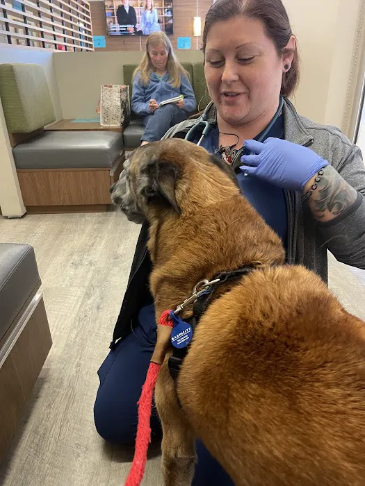 VCA California Veterinary Specialists-Murrieta Picture 9