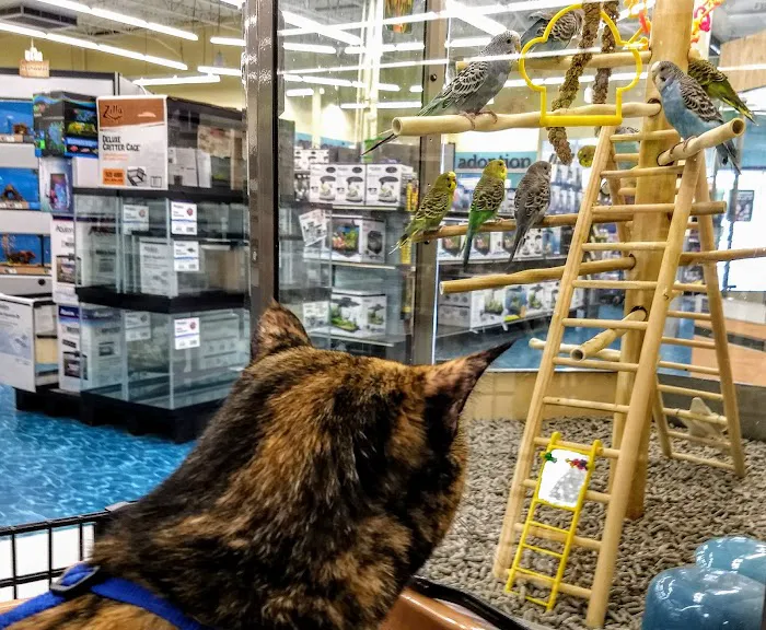 Petco Picture 10