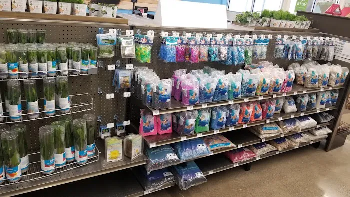 Petco Picture 6