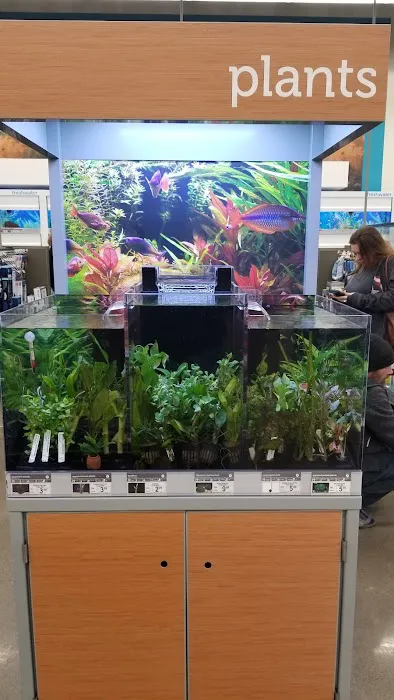 Petco Picture 3