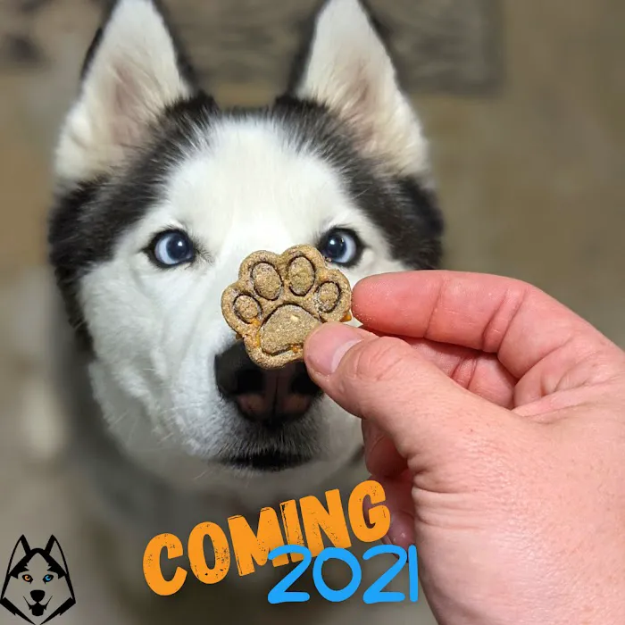 Snowdog Snacks Picture 4