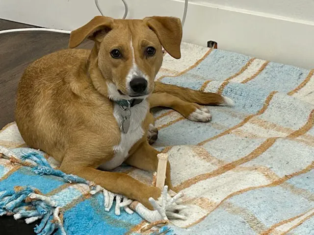 Ark Animal Hospital Picture 3