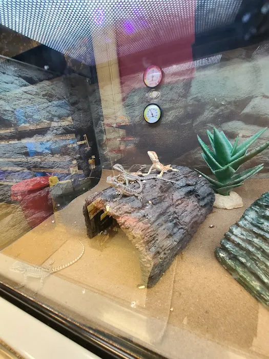 Petco Picture 1