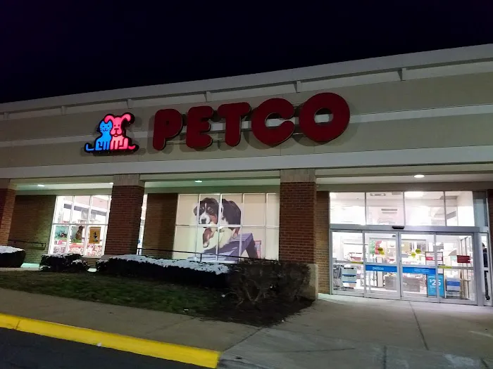 Petco Picture 3