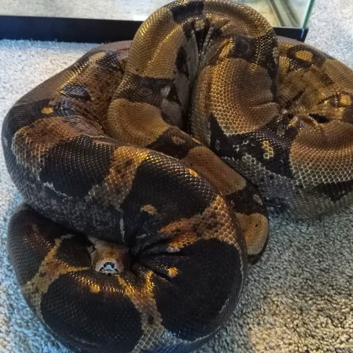 Petco Picture 9