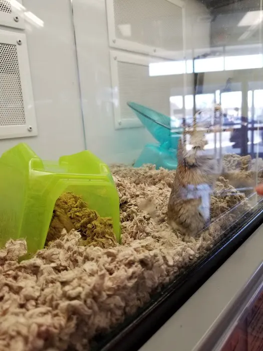 Petco Picture 6
