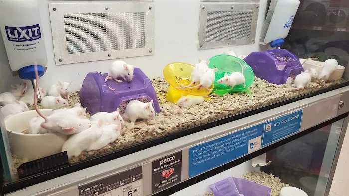 Petco Picture 2