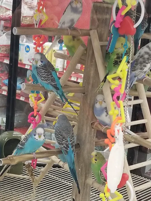 Petco Picture 5