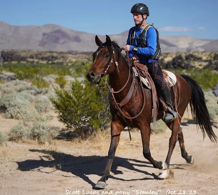 Murrieta Equine Associates Picture 4