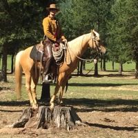 Murrieta Equine Associates ico