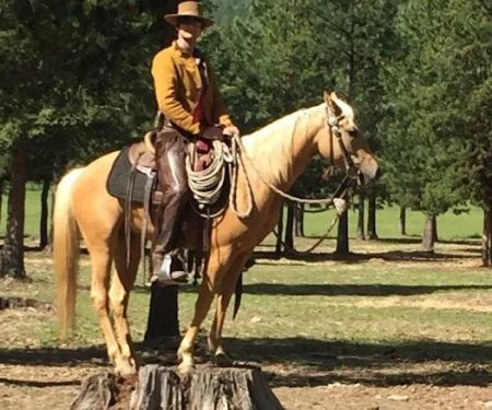 Murrieta Equine Associates