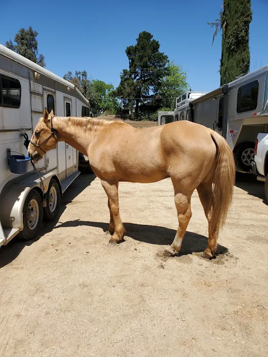 Murrieta Equine Associates Picture 5