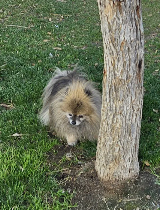 Serenity Holistic Vet Picture 7