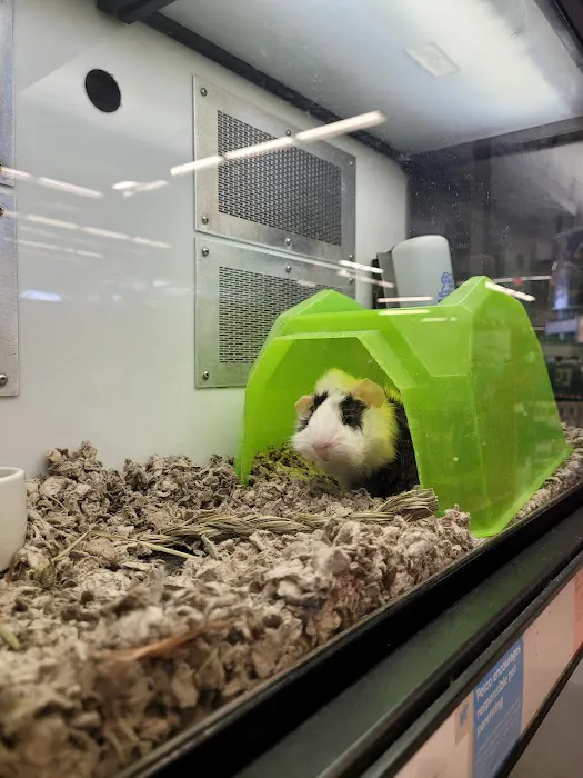 Petco Picture 6