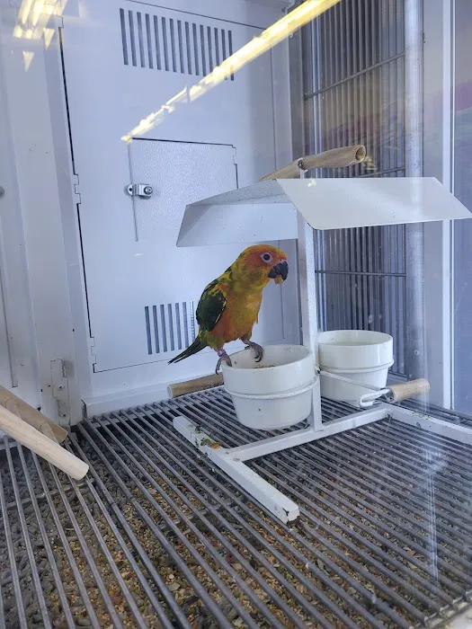 Petco Picture 1
