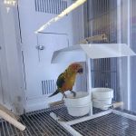 Petco