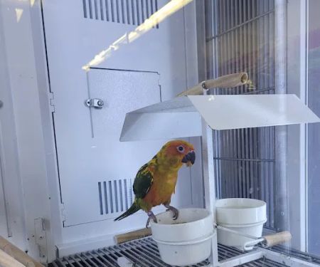 Petco