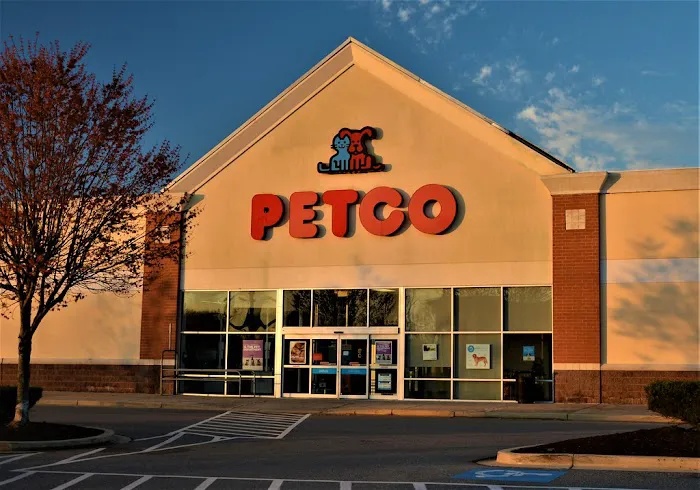 Petco Picture 2