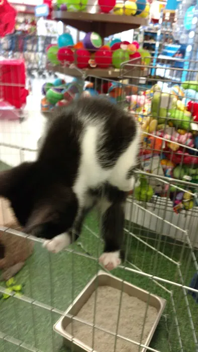Petco Picture 9