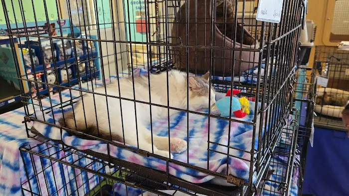 Petco Picture 8