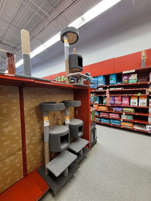 Petco Picture 4