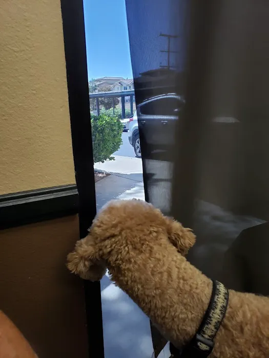 Murrieta Animal Hospital Picture 7