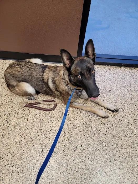 Murrieta Animal Hospital Picture 6