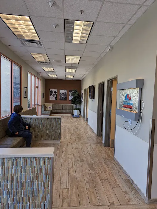 Sky Canyon Animal Hospital- Murrieta Picture 6
