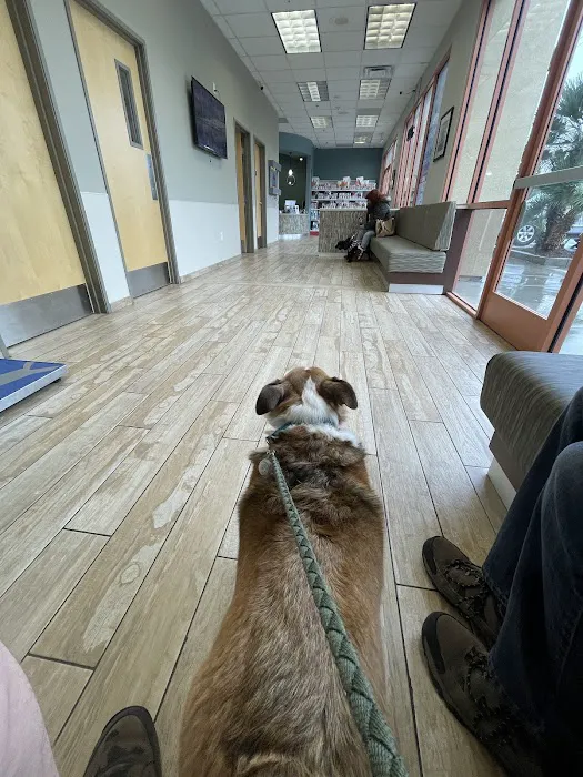 Sky Canyon Animal Hospital- Murrieta Picture 4