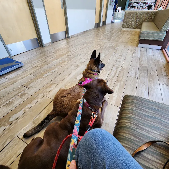 Sky Canyon Animal Hospital- Murrieta Picture 5