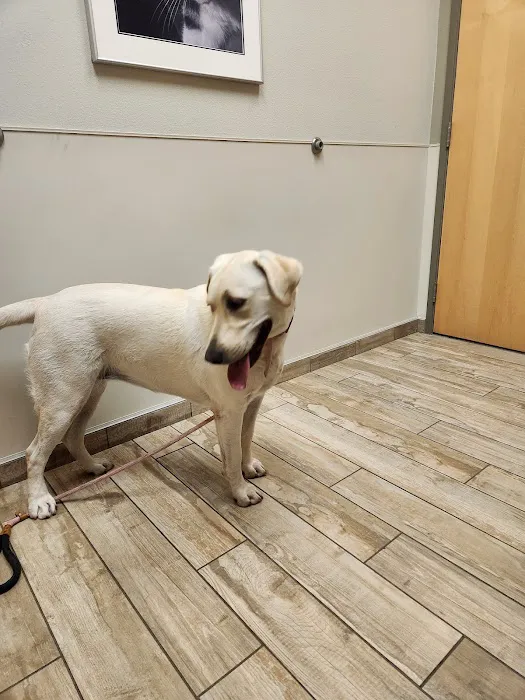 Sky Canyon Animal Hospital- Murrieta Picture 1