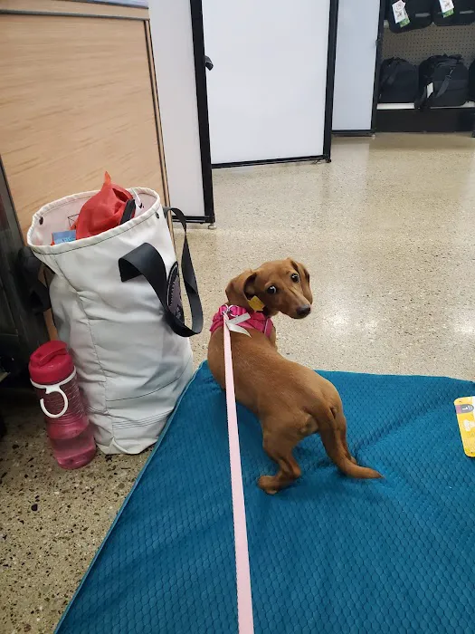 Petco Picture 4