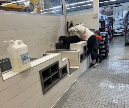 Petco