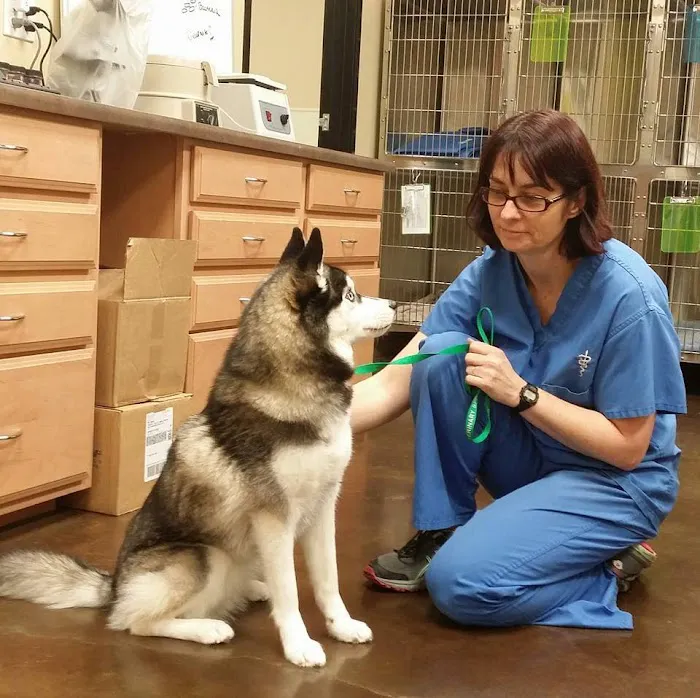 Temecula Valley Animal Hospital Picture 7