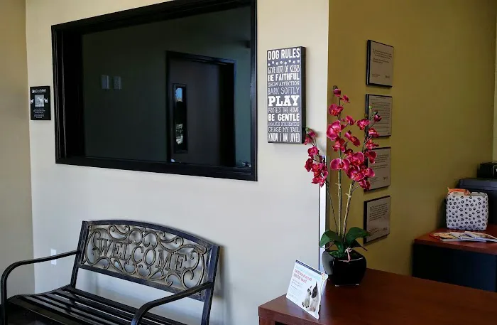 Temecula Valley Animal Hospital Picture 5