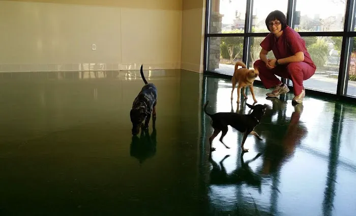 Temecula Valley Animal Hospital Picture 9