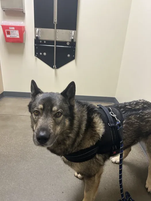 Vetco Total Care Animal Hospital Picture 2