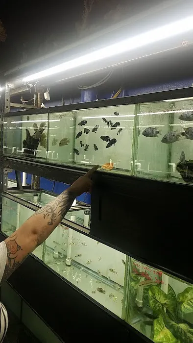 Aquarium Paradise Picture 1