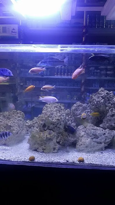 Aquarium Paradise Picture 2
