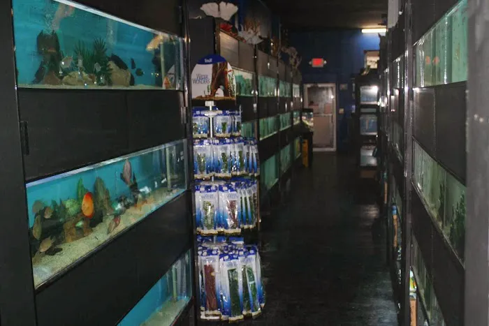 Aquarium Paradise Picture 3