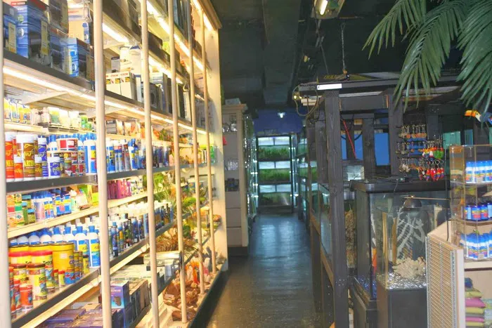 Aquarium Paradise Picture 9