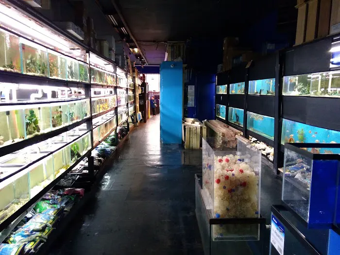 Aquarium Paradise Picture 6