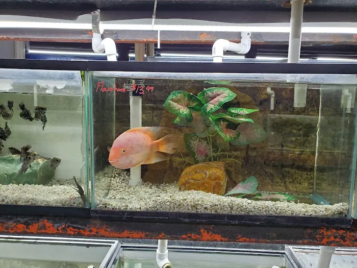AquaScapeOnline Picture 5
